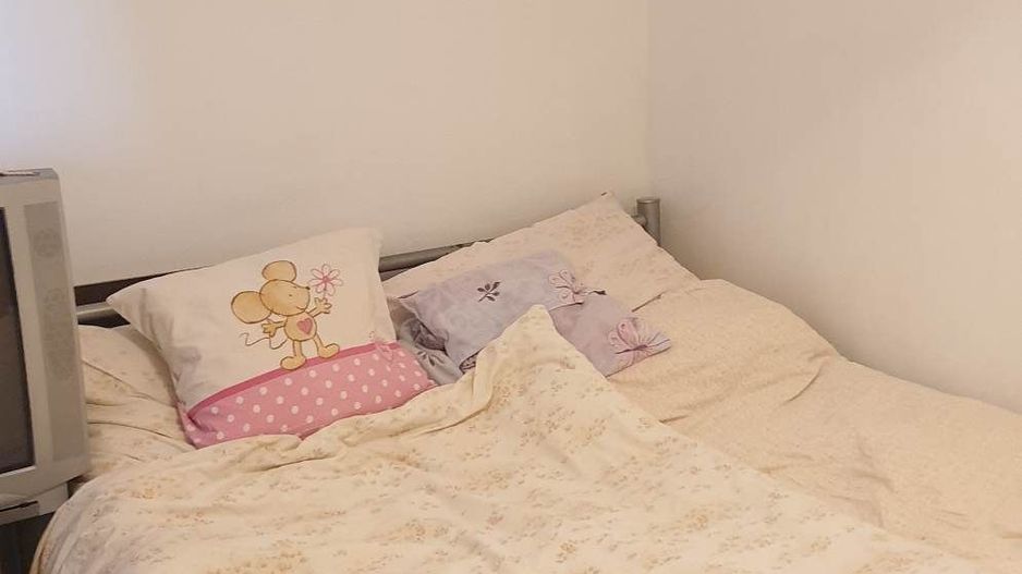 Apartament 3 camere Judetean CENTRALA - Poză 7