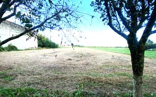 Terenuri de vânzare Boldur - Poză 3