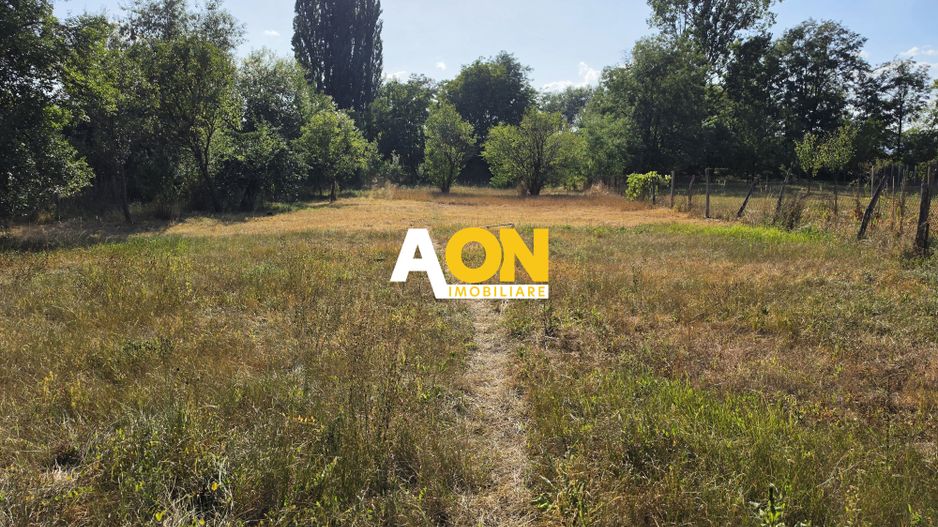 Casa cu 4 camere, 2024 mp teren, la asfalt, cu utilitati, Vintu de Jos - Poză 4