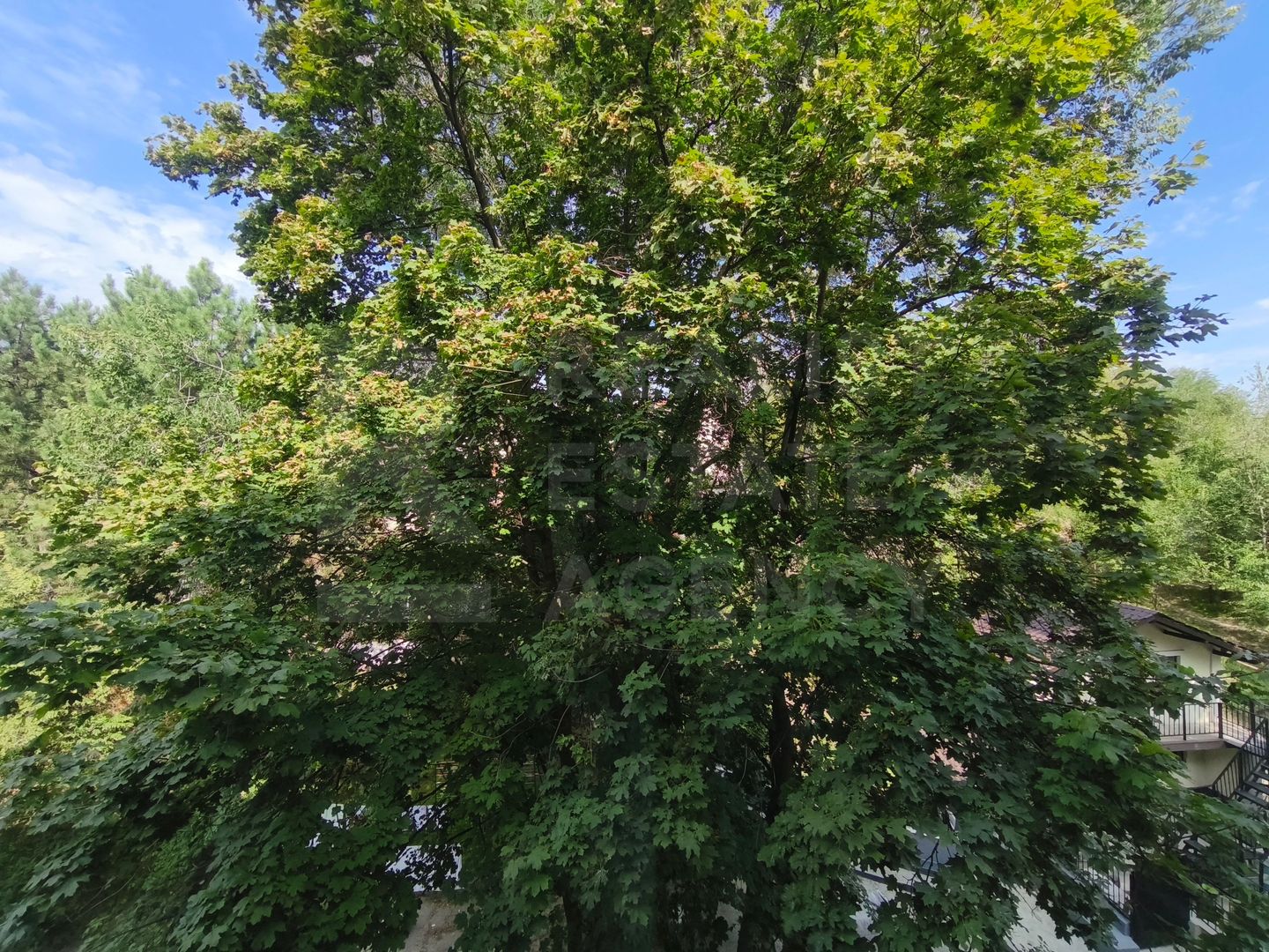 Vânzare, apartament, 1 camere, Strada Poştei, Rîșcani - Poză 11