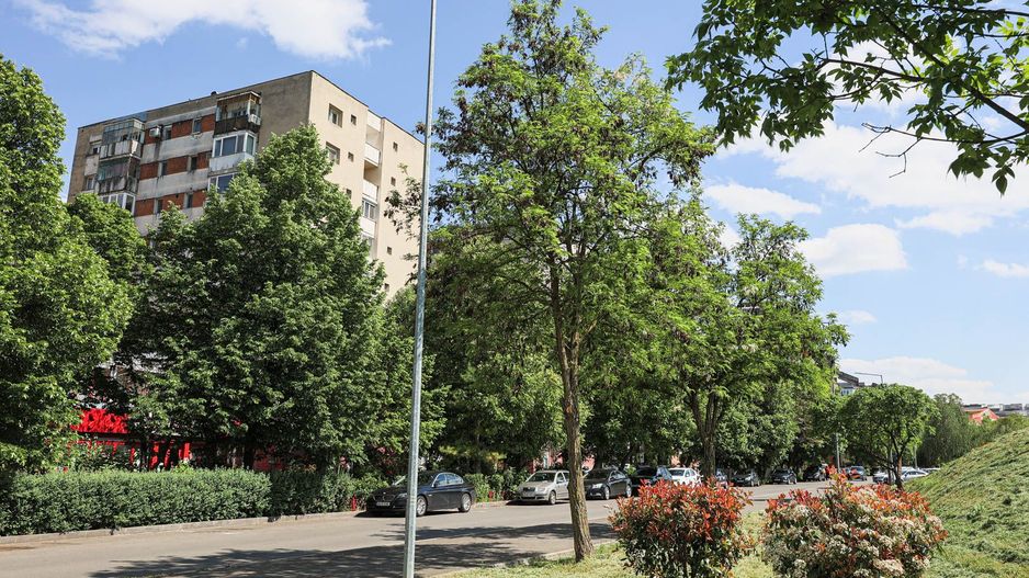 VANDUT! Apartament 2 Camere – Micalaca, Zona 300, Malul Mureșului - Poză 6