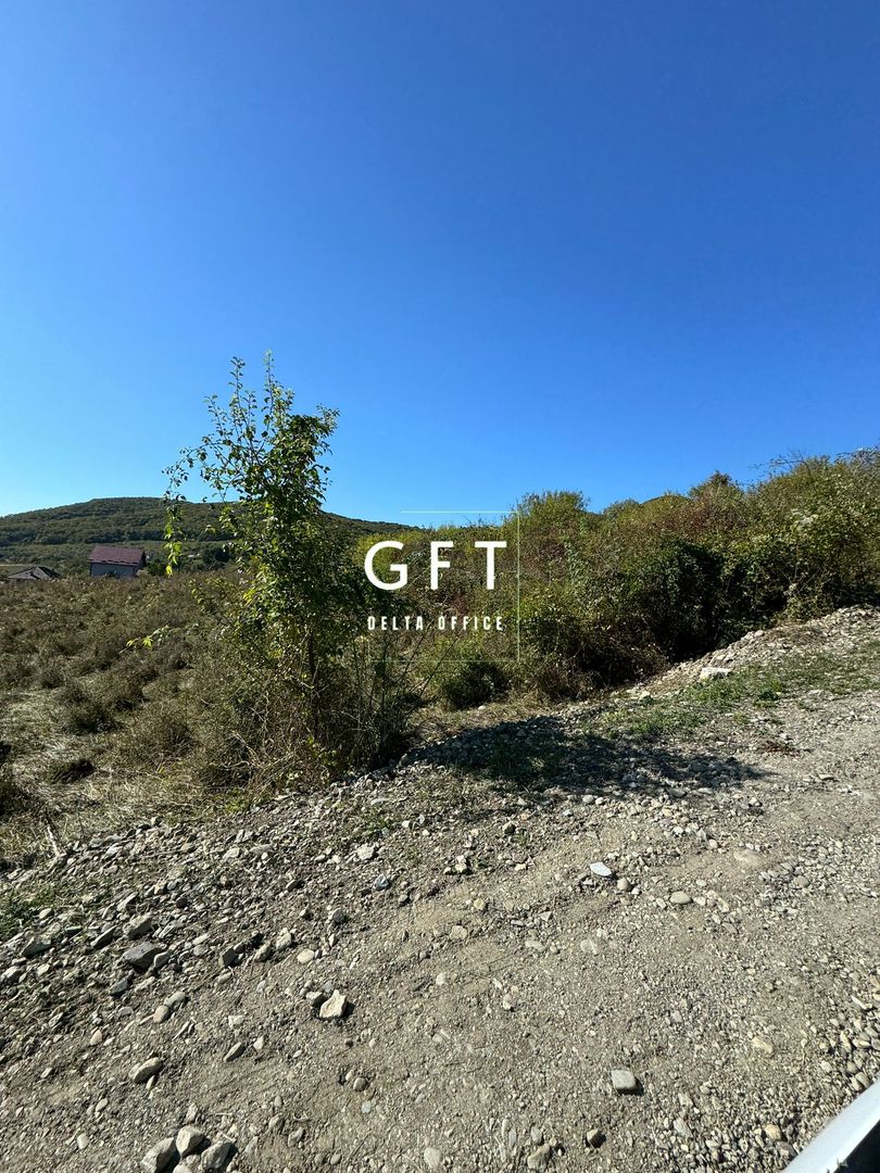 Teren de vanzare in Viisoara, 96 Ari. - Poză 3