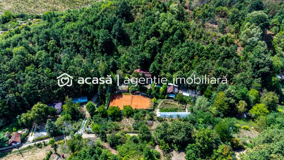 PROPRIETATE VÂNDUTĂ Casă conac cu 15.000 mp deal împădurit la Barațca, - Poză 14