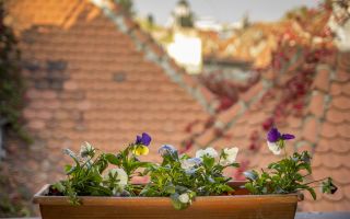 Duplex de vanzare in Cotroceni - 171mp COMISION 0% - Poză 16