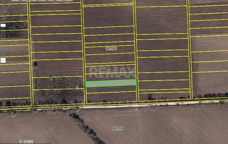 Teren pentru construcții – 10 ari | Chetrosu, Anenii Noi - Poză 2