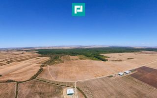 Teren intravilan agricol 558.500 mp Chevereșu Mare - Poză 5
