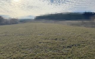 Teren intravilan/5800 mp/zona strazii I.L Caragiale. - Poză 2