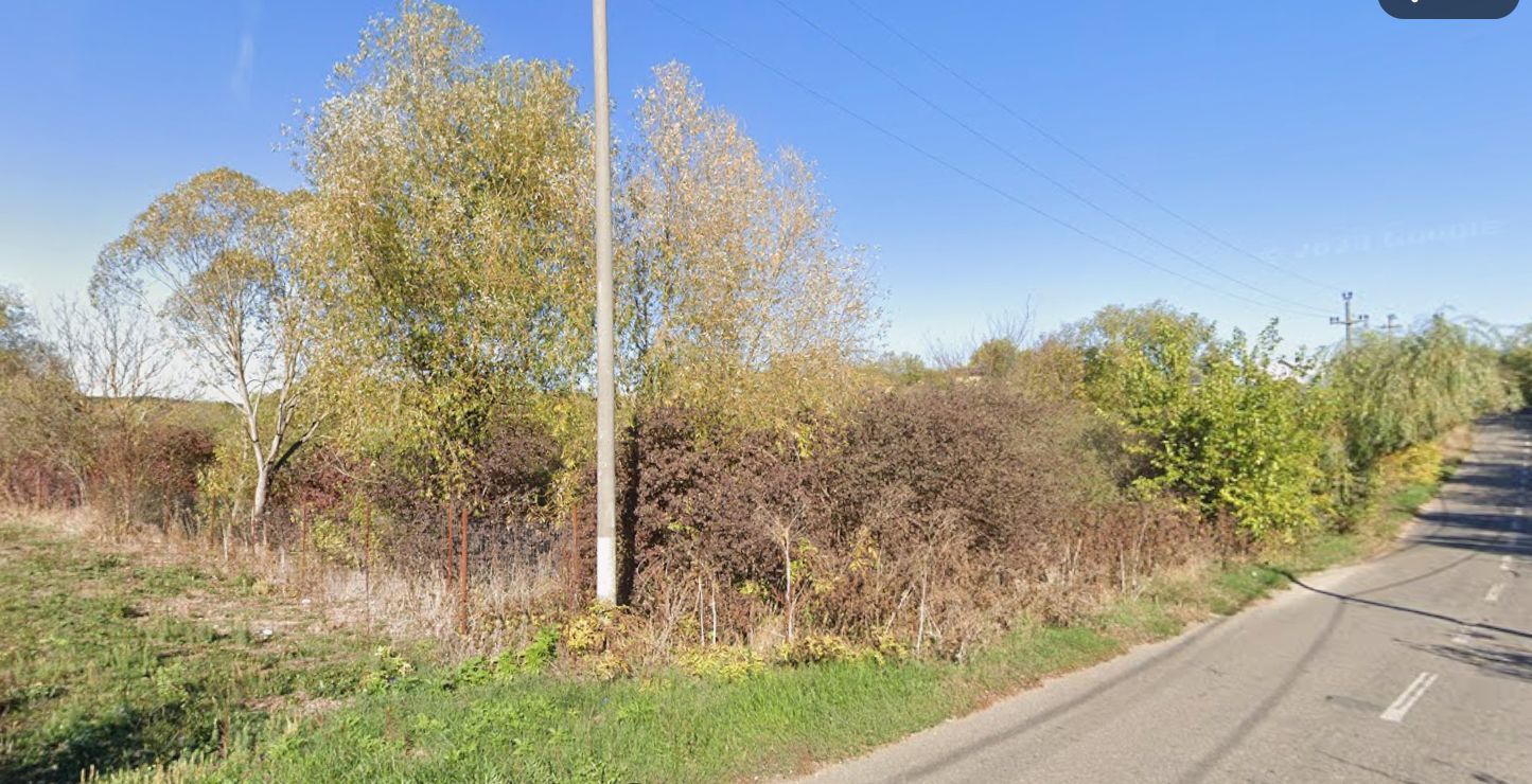 1500 mp intravilan, deschidere la lac - Poză 4