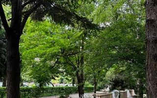 Garsonieră de vânzare | Ștefan cel Mare | Parcul Circului - Poză 8