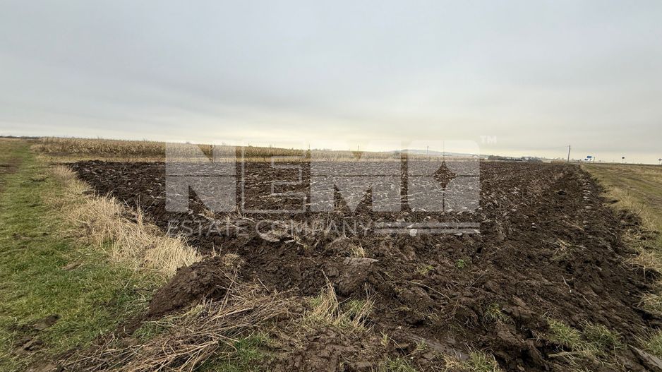 Parcela teren agricol 50 Ari - Poză 9