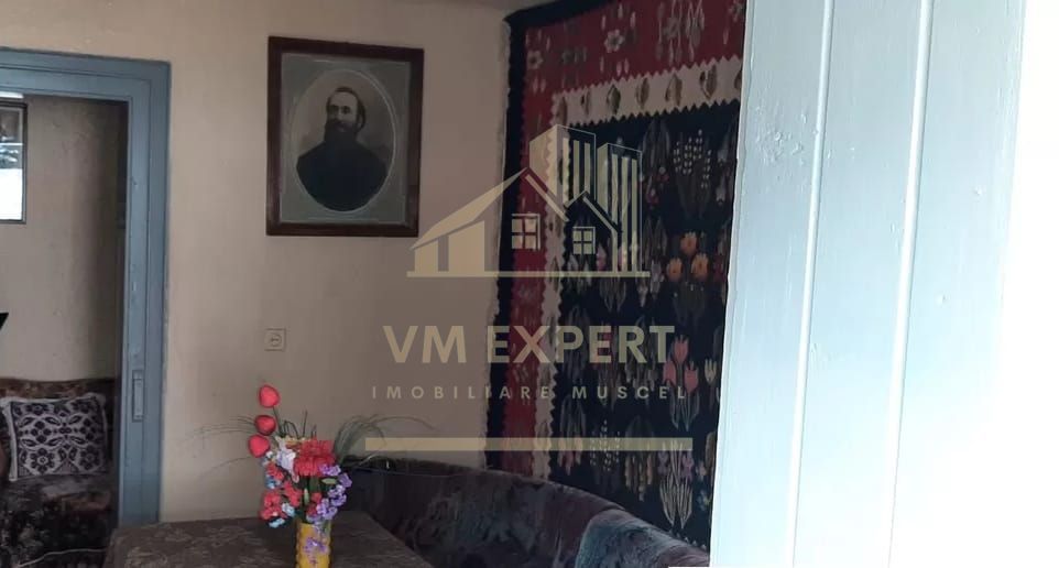 CASA 3 CAMERE, TEREN 5000 MP, RUCAR, ARGES - Poză 10