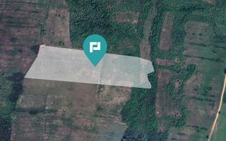 Teren arabil de 11,3 hectare în Bara, Timiș - Poză 3