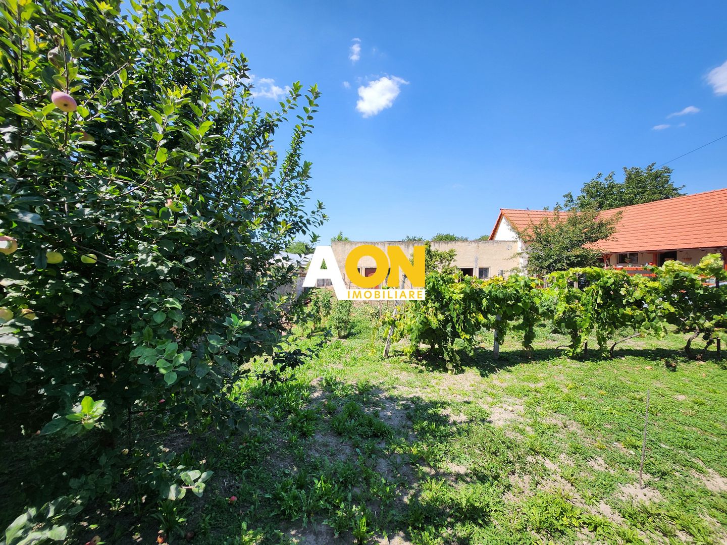 De vanzare 600mp teren intravilan, cu utilitati, Oarda de Jos - Poză 4