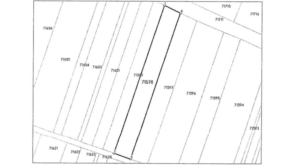Magurele, loc Alunis, str. Intrarea Parcului 2000 mp deschidere 15 - Poză 6