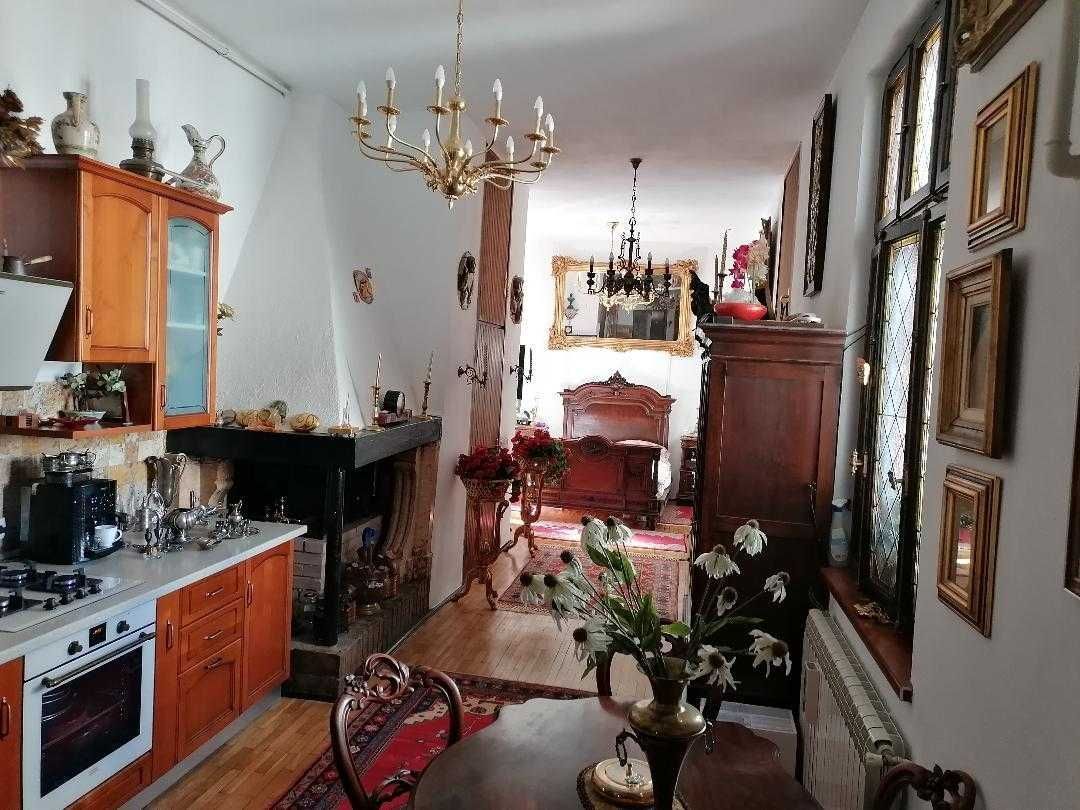 COTROCENI - Cuibușorul de nebunii al pictorului Zamfir DUMITRESCU - Poză 3