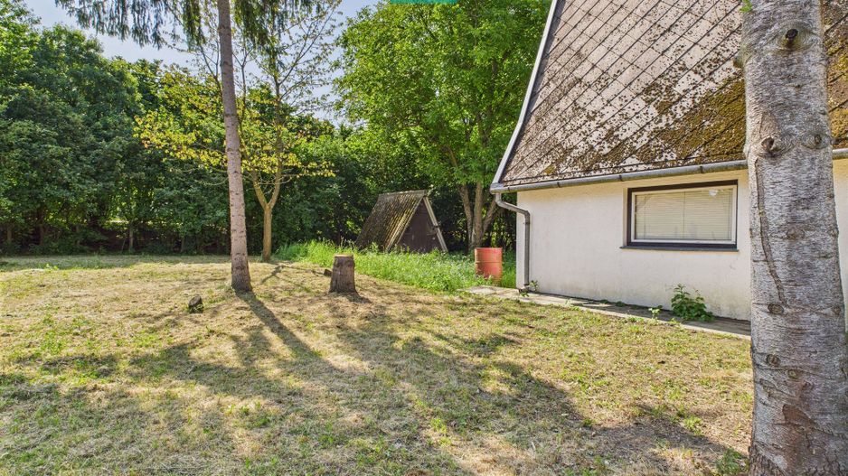 Căsuță de vacanță – cu POTENȚIAL DE INVESTIȚIE - Poză 4