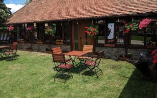 CASĂ\VILĂ DE VÂNZARE \COM. OBREJA\SAT IAZ\CARAȘ-SEVERIN - Poză 7