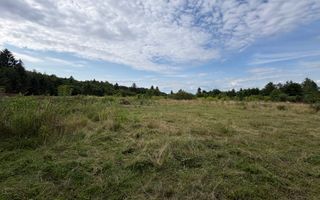 Teren intravilan de vanzare I 1990 mp I Valea Avrigului – lângă Cabana Aris - Poză 5