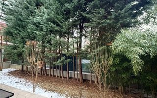 Vila Premium - 6 camere - Pipera - Poză 19