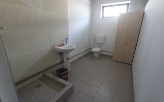 Spațiu industrial la sosea: Dumbravita - Giarmata - Poză 24