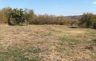 Casă de vânzare în Comuna Strunga, județul Iași - Poză 5