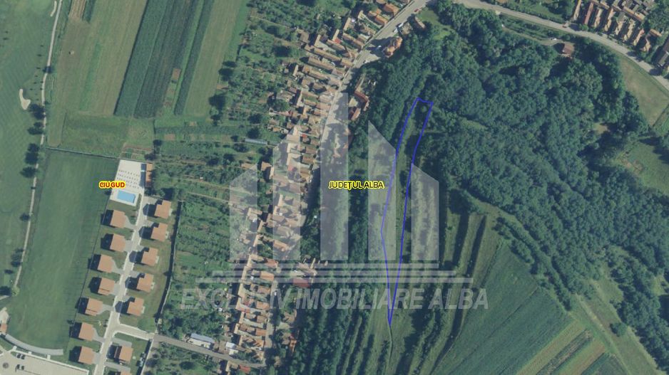 Teren agricol in Teleac - Poză 1