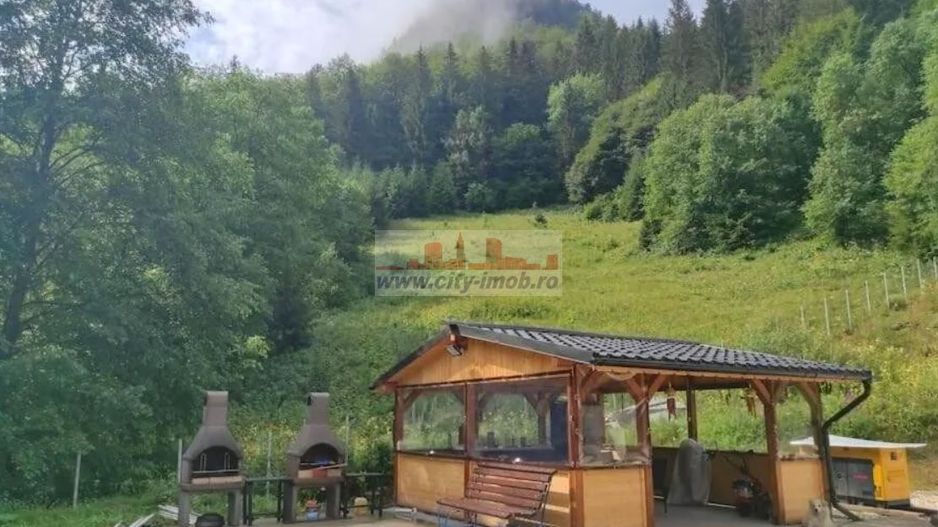 Vanzare Pensiune , Casa ,  Rezervatia Piatra Craiului / Satic, Arges - Poză 7