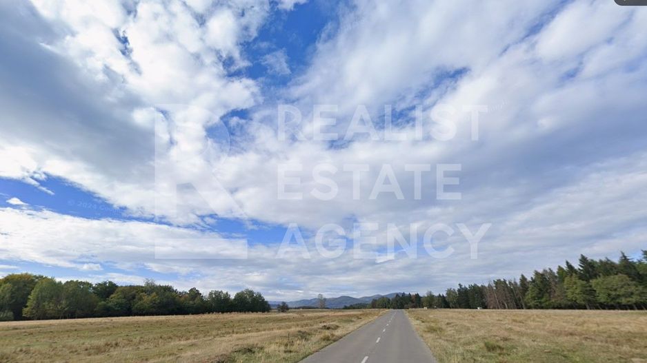 Teren intravilan 4,2 ha de vânzare| ideal investiție| POT 40%| Teișani - Poză 4