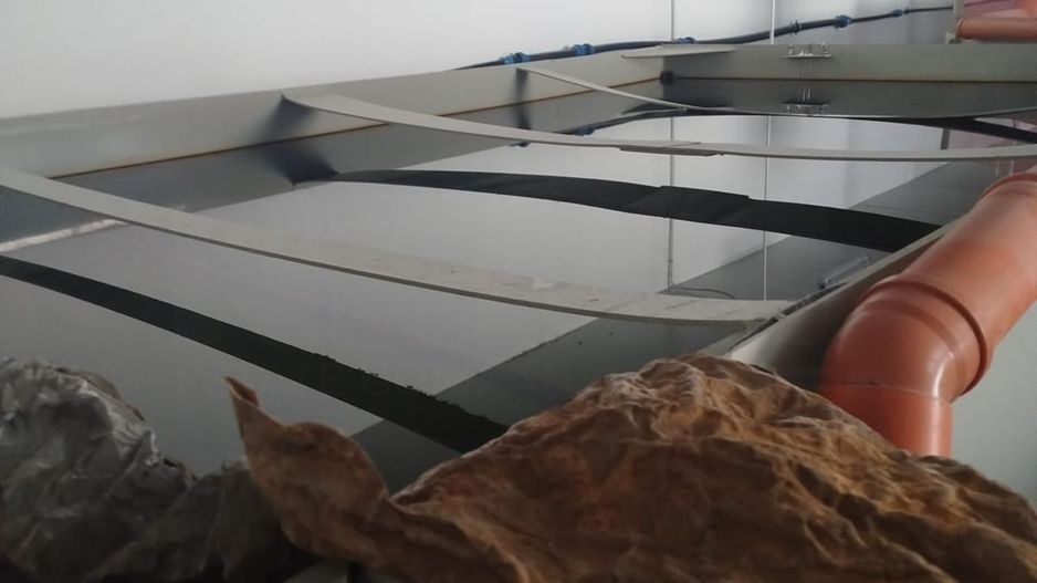 Pensiune + fermă piscicolă (sturion/caviar) | Saru Dornei/Sarisor - Poză 18