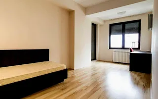 Penthouse tip duplex I View spectaculos I Zona Herastrau - Poză 14