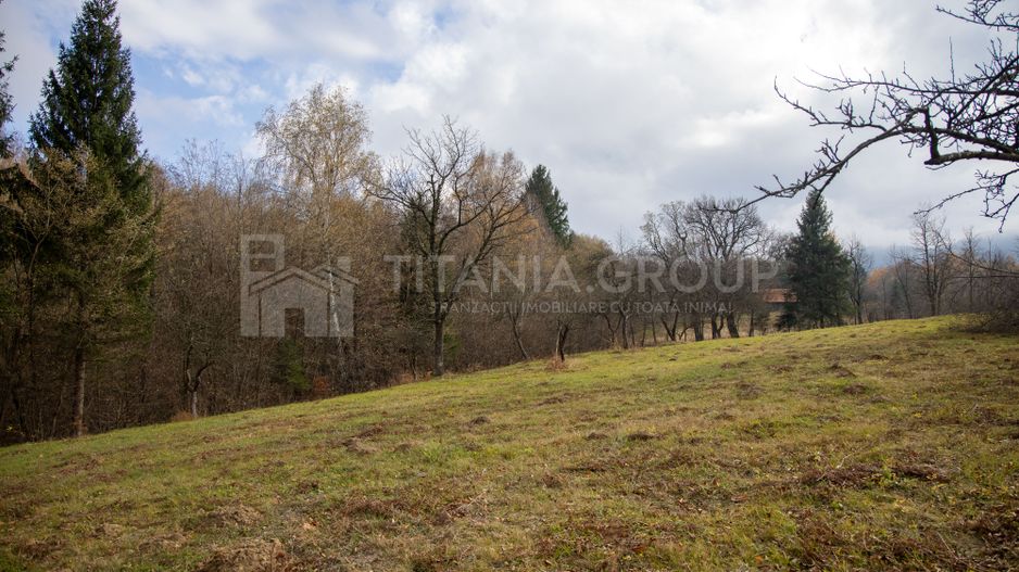 Teren intravilan, cu PUZ, Bran Tohanita,  SE ACCEPTĂ ȘI SCHIMB - Poză 18