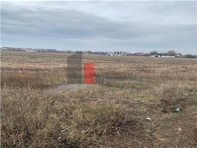 Vanzare Teren 3200mp  Cornetu  Ilfov - Poză 12