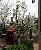 Vila de inchiriat zona Padurea Baneasa - Iancu Nicolae - Poză 10