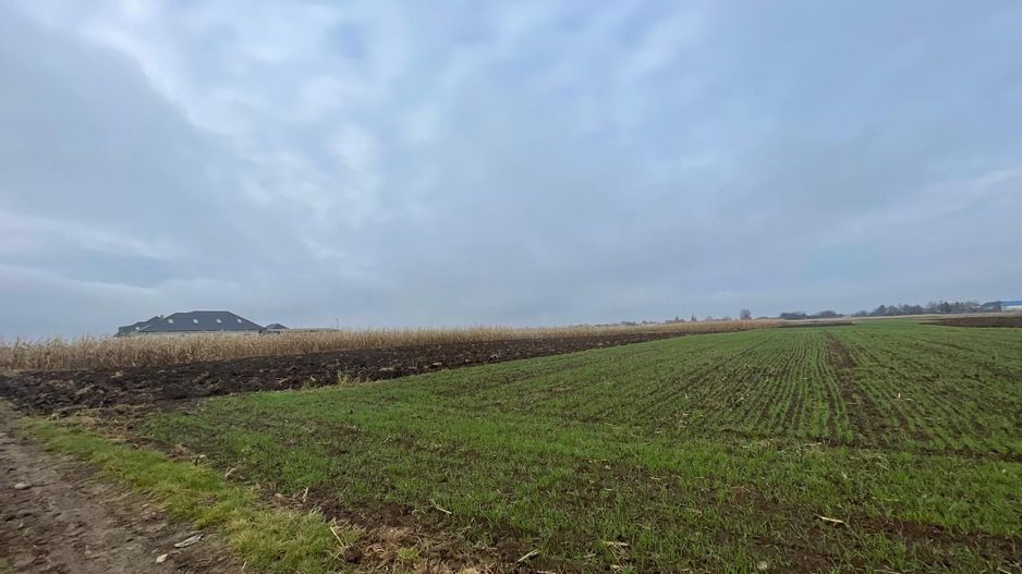 TEREN EXTRAVILAN 13 ARI | FRONT STRADAL 13 M | MARGINEA - Poză 8