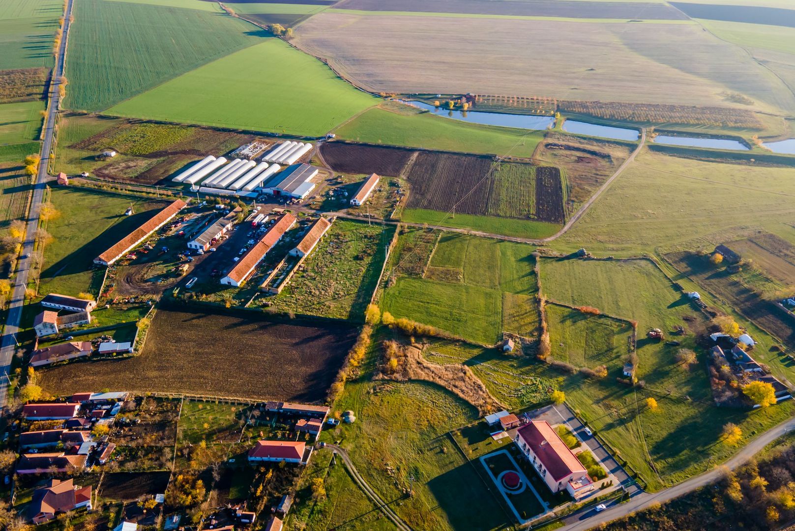 Teren agricol 130 ha Cruceni - Poză 4