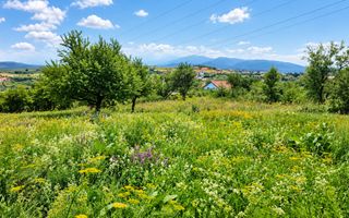 TEREN INTRAVILAN 960 MP ÎN DAIA NOUĂ | ÎMPREJMUIT | UTILITĂȚI - Poză 6
