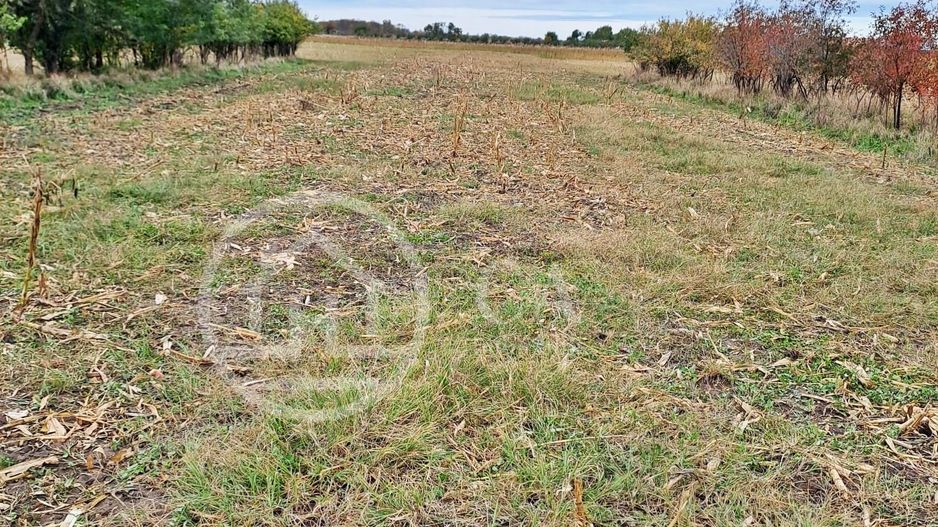 Teren intravilan de vanzare in Cefa, Bihor - Poză 1