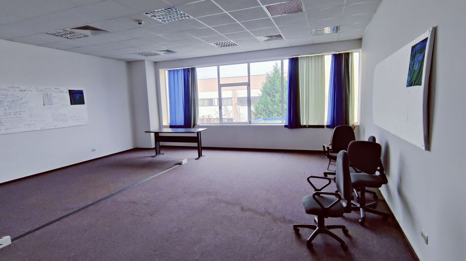 Hala productie /depozitare -zona C.  Sagului - Poză 9