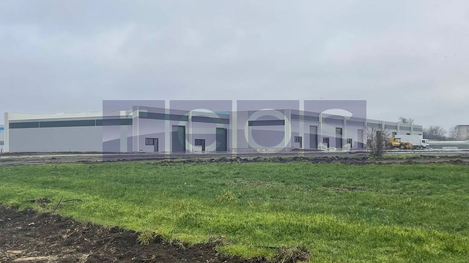 De inchiriat hala in Mogosoaia cu iesire la Centura Bucuresti - Poză 1