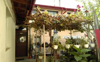 Mihai Bravu, Vitan - Poză 1