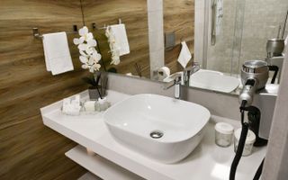 Bulevardul Unirii Apartament Termen Mediu - Poză 5