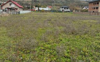 Teren 2.300 mp, cu acces la DN 15D, zona Ciusmeaua Moldovencei - Poză 4