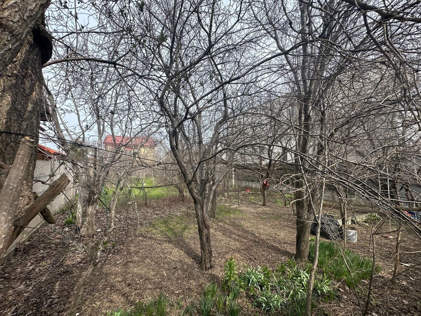 Teren de vanzare Zona Kamsas - Poză 3