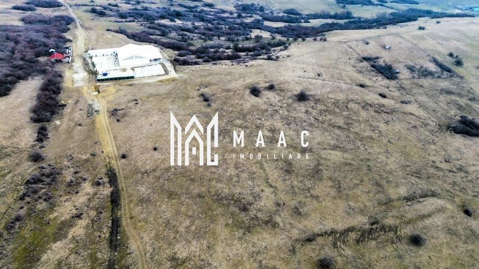 Investiție I Teren extravilan 67.500 mp I Dealul Dăii- Sibiu - Poză 2