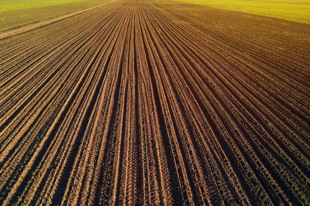 Investiție Agricolă Operațională, Fermă Completă de 730 ha în Nord-Est - Poză 2