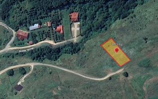 Oportunitate investiție 1153mp Tarnița - Micești - Poză 6