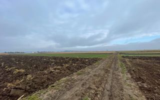 TEREN EXTRAVILAN 13 ARI | FRONT STRADAL 13 M | MARGINEA - Poză 11