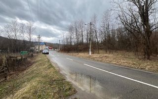 Teren intre case | 3782 mp | Alunis | Slanic Prahova - Poză 3