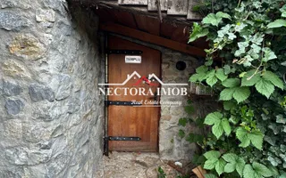 NECTORA IMOB Exclusivitate-Casa 5 camere, 2 bucatarii, 2300 mp teren - Poză 14
