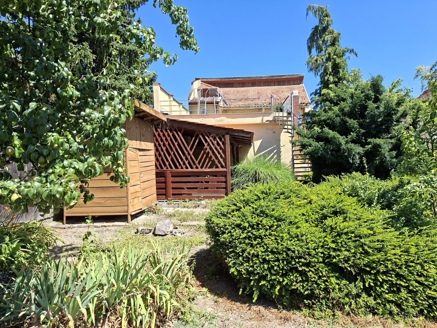 BRASADAS vinde casa P+M 6 cam 227mp teren 11 ari in 14 Mai. - Poză 4